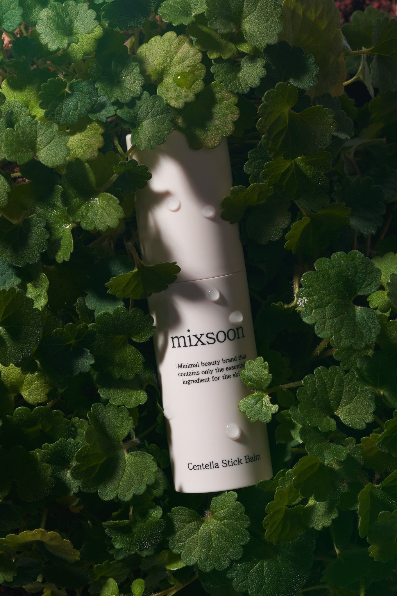 Centella Asiatica Stick Balm [11.5ml] - Mixsoon DE Official Store
