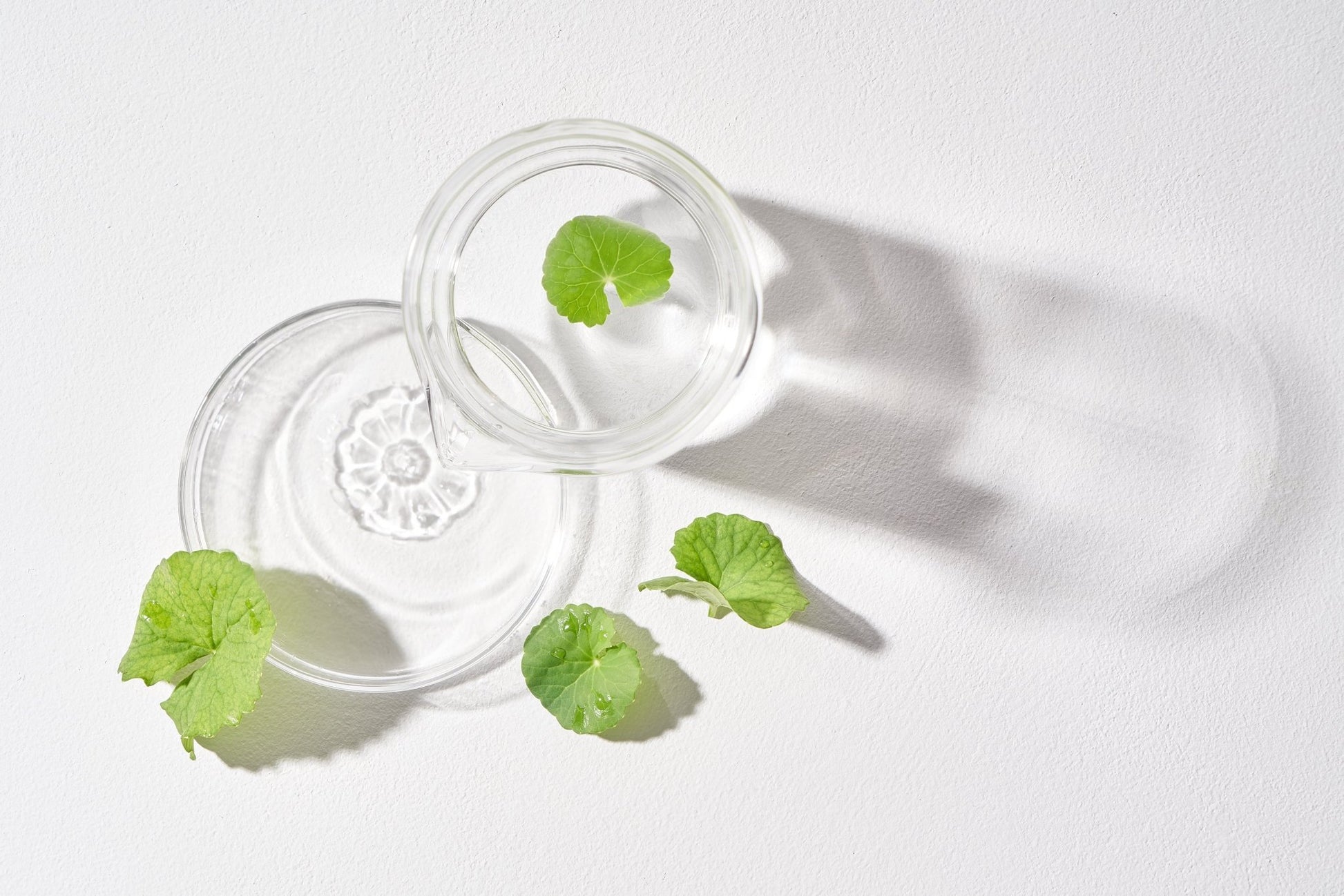 Centella Cleansing Water [300ml] - Mixsoon DE Official Store