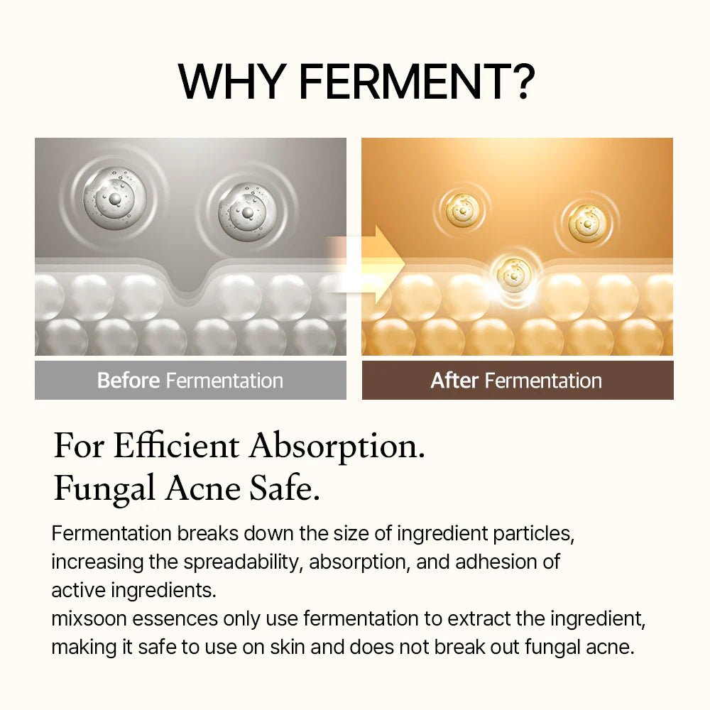 Mixsoon Bean Essence [50ml] - Mixsoon DE